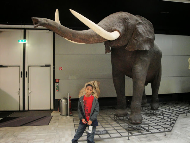Frankfurt-Natural-Museum-048