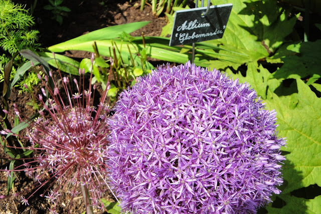 Put it on Your to do List: Top 10 Stuttgart Wilhelma