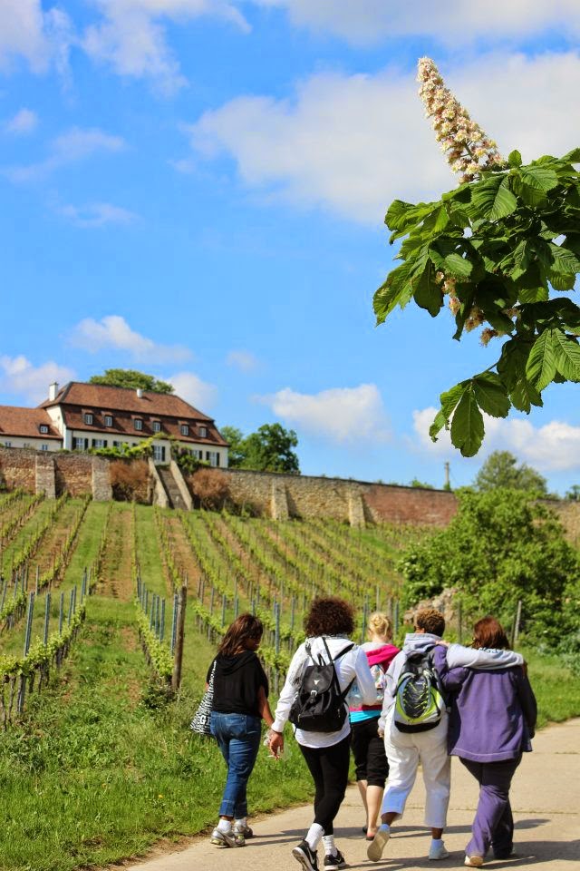 wine-walk1, benefits of separate vacations