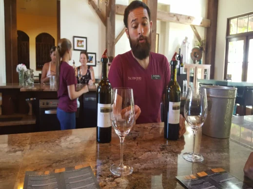 wine tasting, glasses, bottles, spit bucket