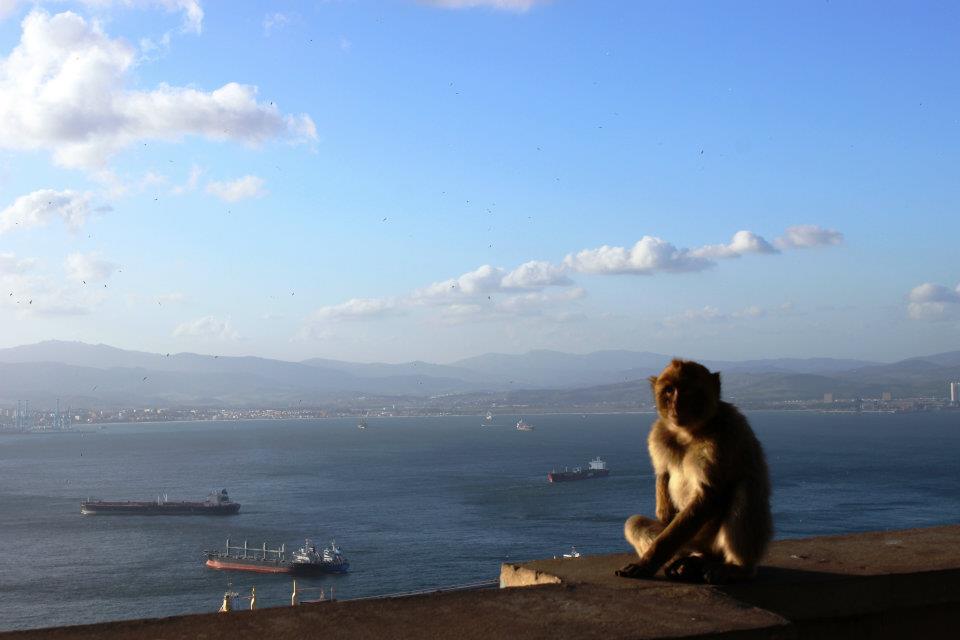 Layover in Gibraltar from mountain