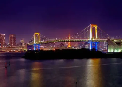 Tokyo Harbor Dinner Cruise
