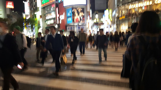 20151029_211630 Tokyo: Exploring the Biggest City on the Planet