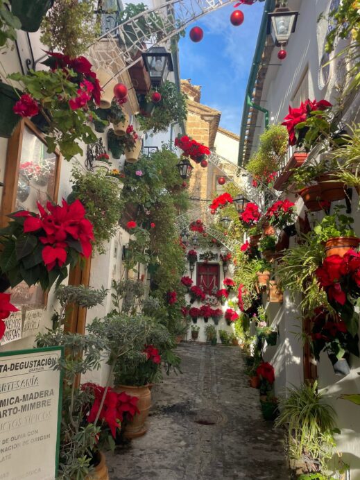 Christmas Holiday in Cordoba, Spain