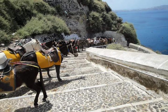 FB_IMG_1448175218427 Discover the Islands of Santorini and Kos Greece