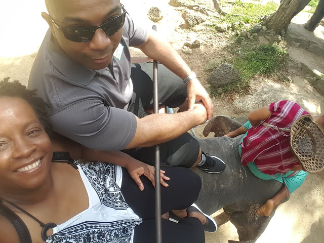 Travel Regrets Riding elephant in Phuket Thailand