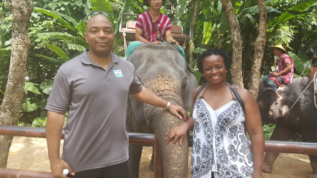 mistake riding petting playful elephant in Phuket Thailand