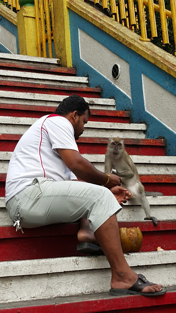 monkey with handler Batu Caves Malaysia
