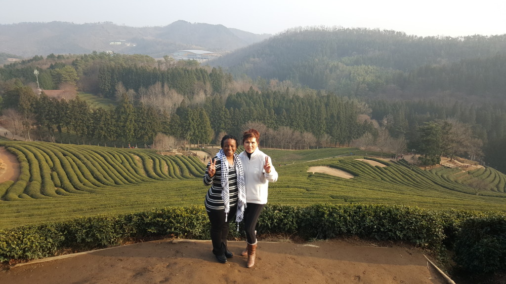 duffelbagspouse Boseong Tea Plantation with June