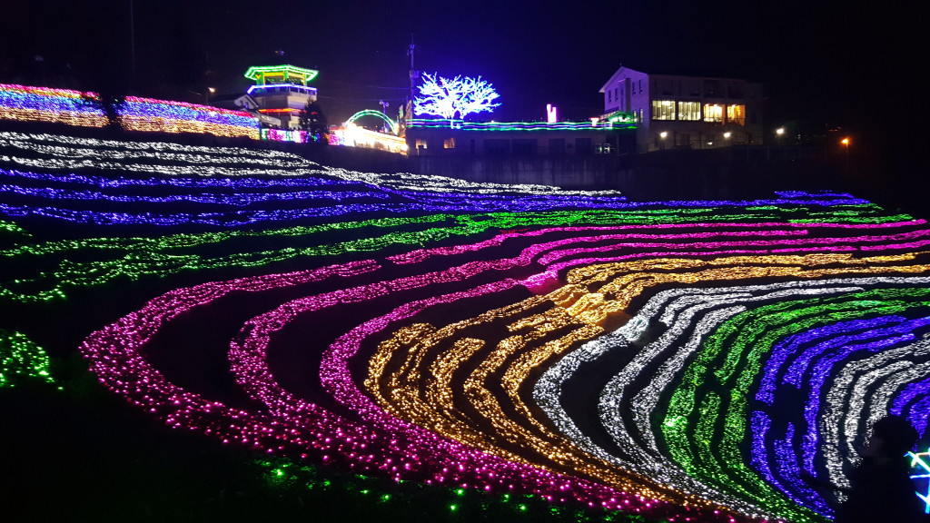 duffelbagspouse Boseong Light Festival