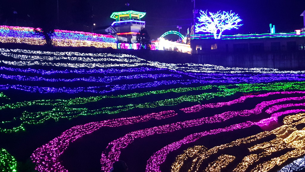 lighted tea field and trees food stalls Boseong Annual Light Festival