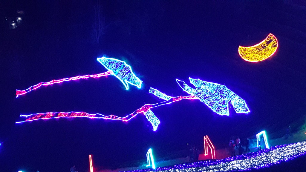 moon lighted designs Boseong Annual Light Festival