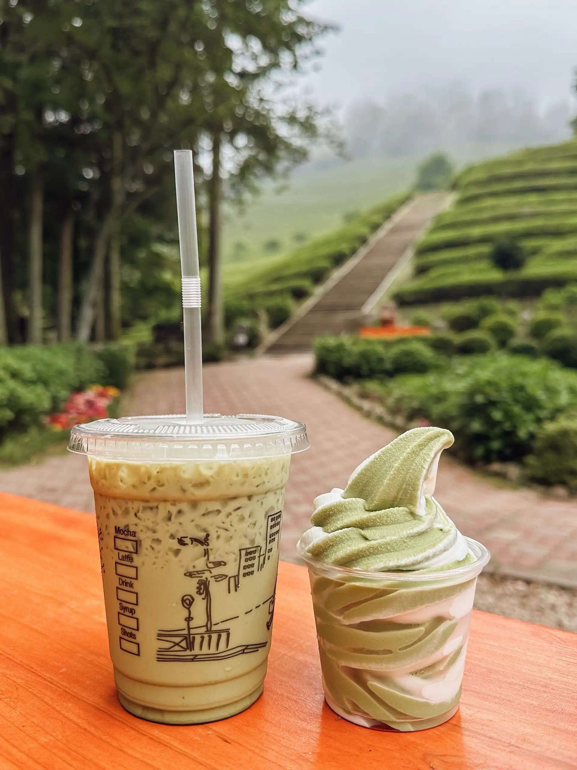 Boseong Green tea ice cream and latte
