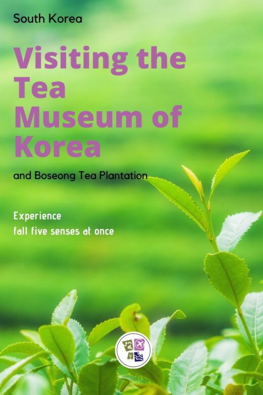 Visiting the Tea Museum of Korea PIN