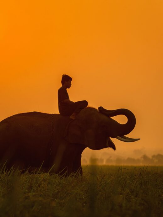 ethical travel problems