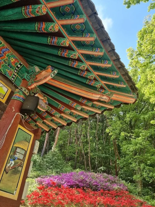 Apsan Temple, flowers, greenery, red and purple flowers