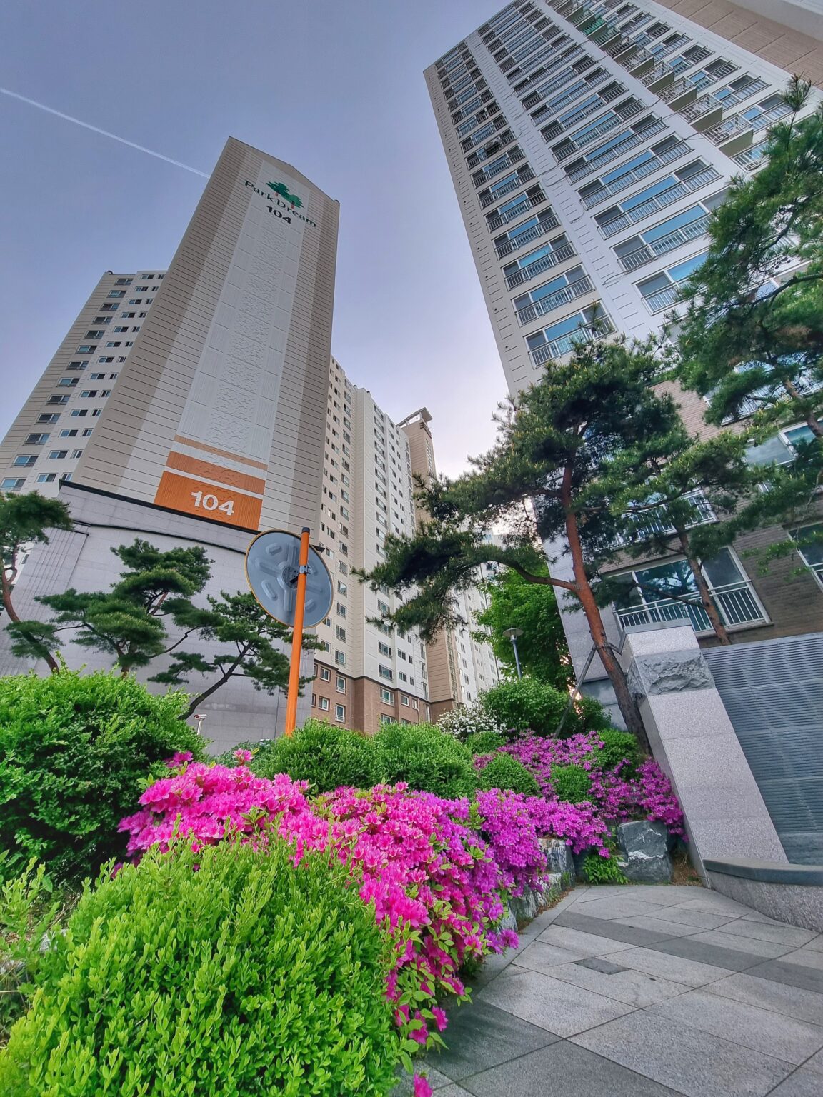 Daegu Offpost Housing and Apartment Guide Dbs travels