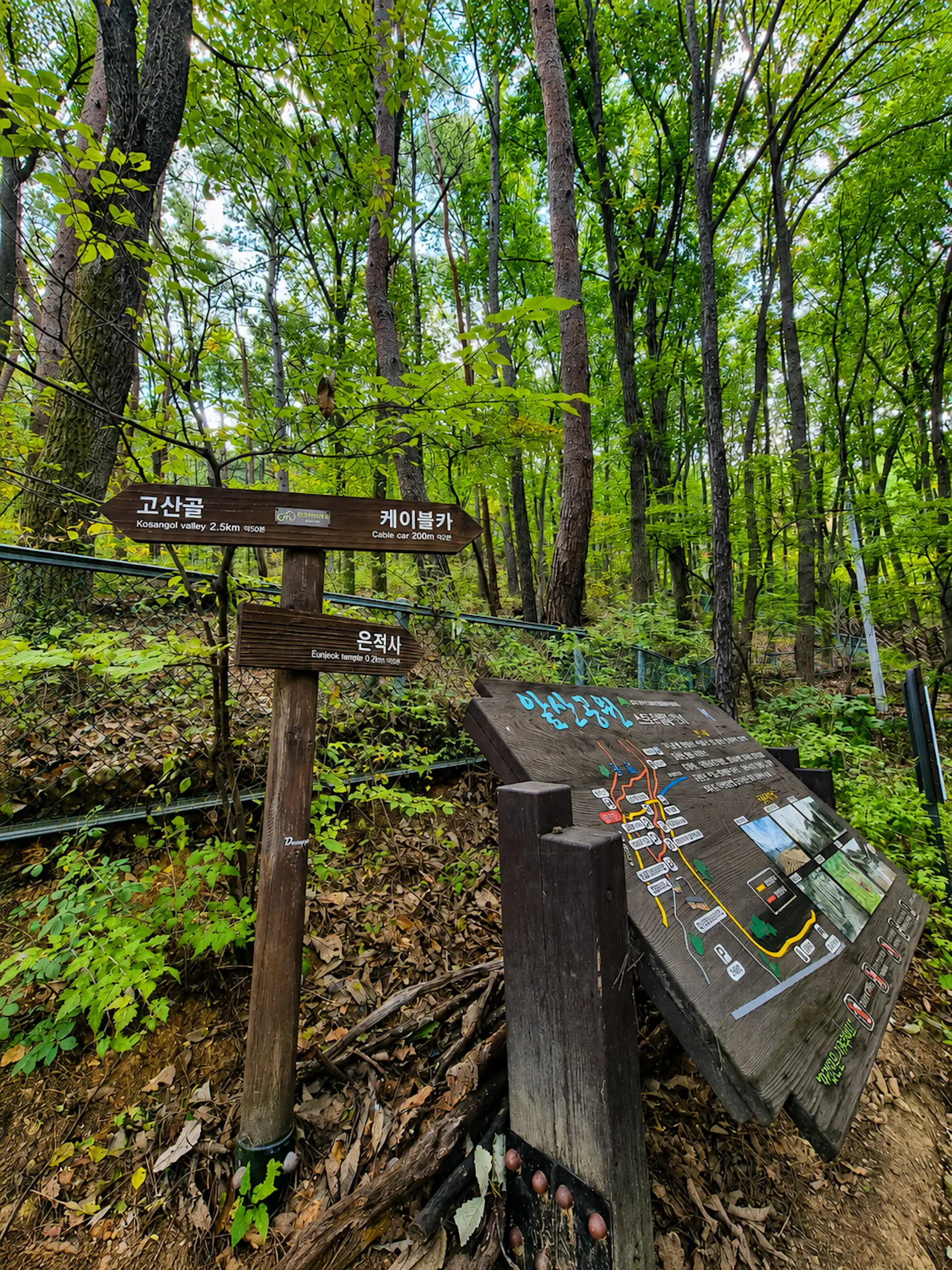 Kosangol Trail, Apsan Mountain, Daegu