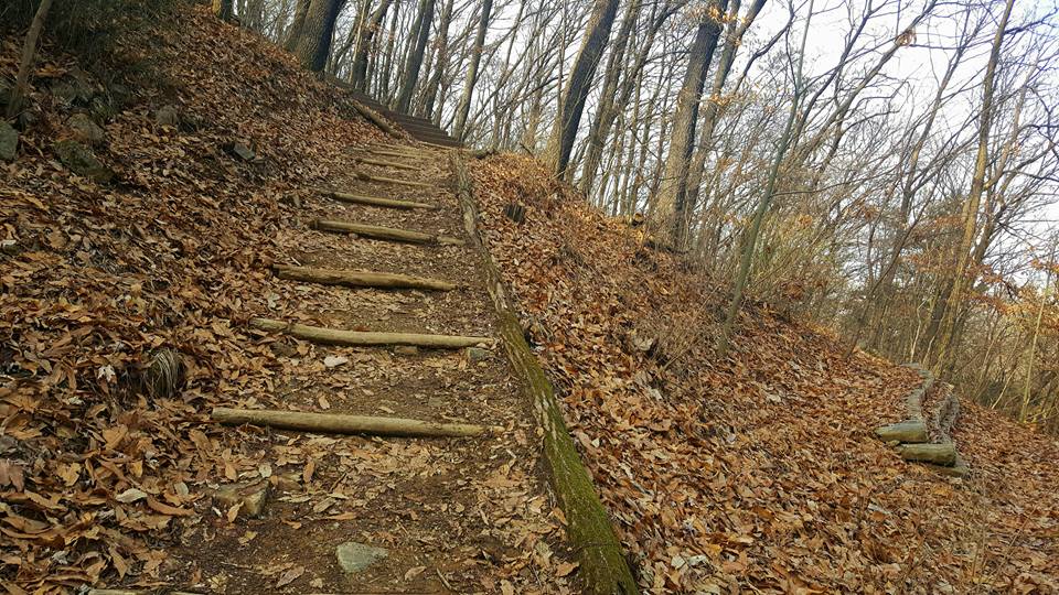 Hiking, Apsan Mountain Park wooden steps