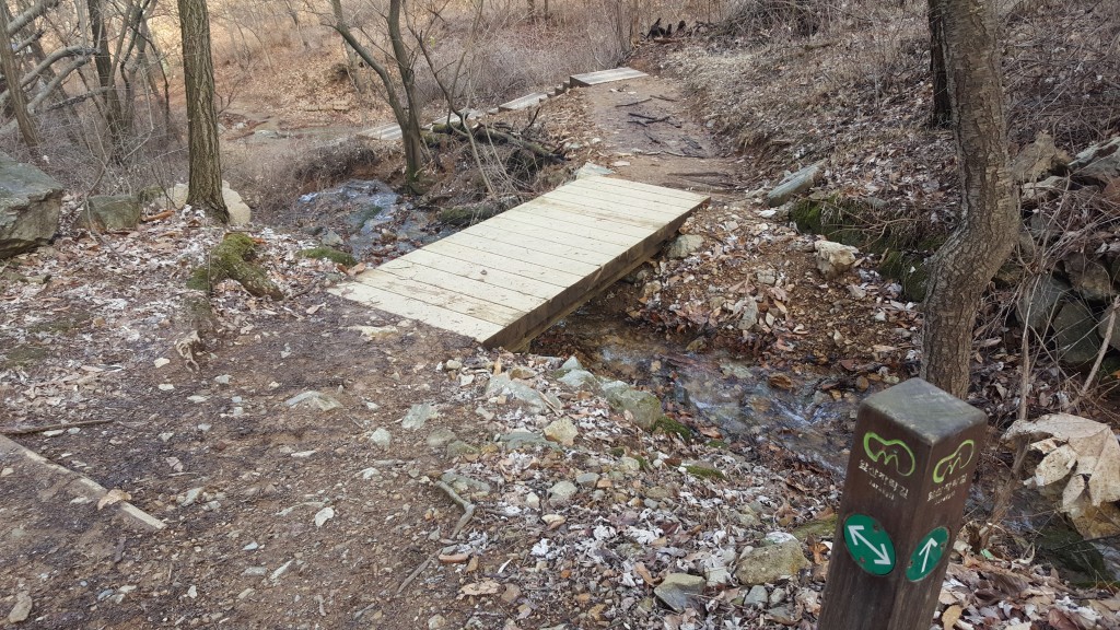 Hiking, Apsan Mountain Park wooden bridge