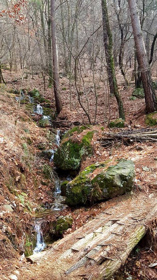 Hiking, Apsan Mountain creek