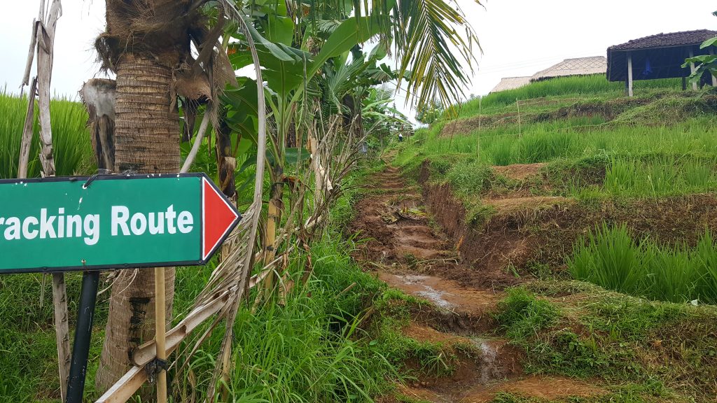 bali muddy trekking route, benefits of separate vacations
