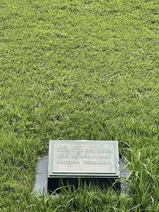 United Nations Memorial Cemetery unknoown grass
