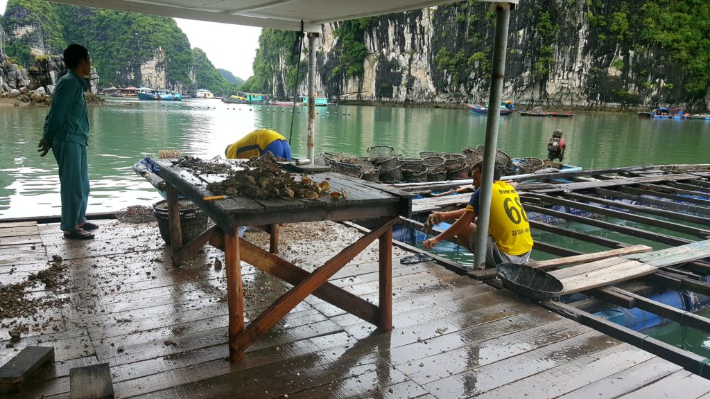 The Signature Cruises Senior Suite Halong Bay Senior Suite pearl farm