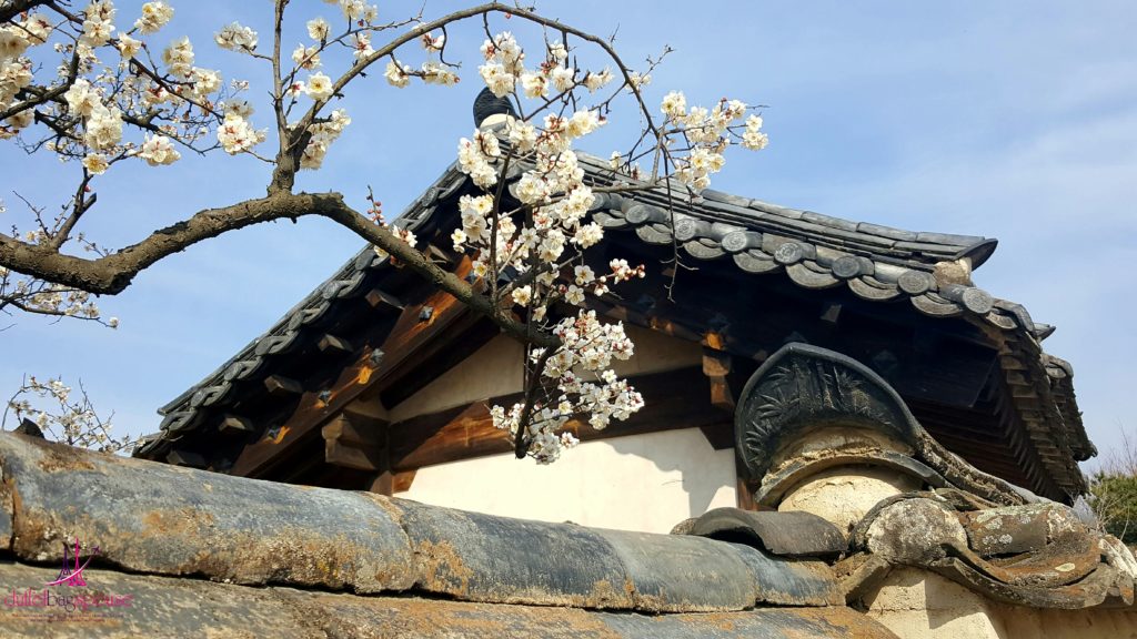 Hahoe Andong Village Hanok House top