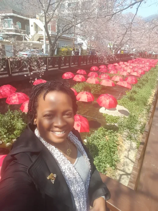 Jinhae Cherry Blossoms Festival South Korea
