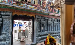 Looking-back-Sri-Krishna-Temple
