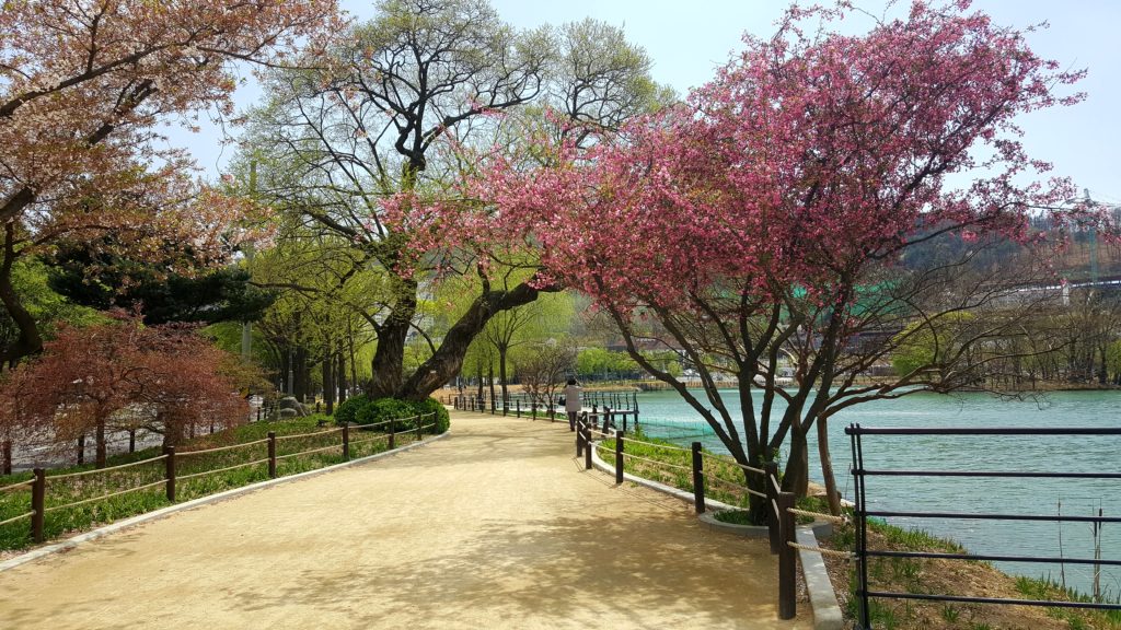 Suseong Lake trail