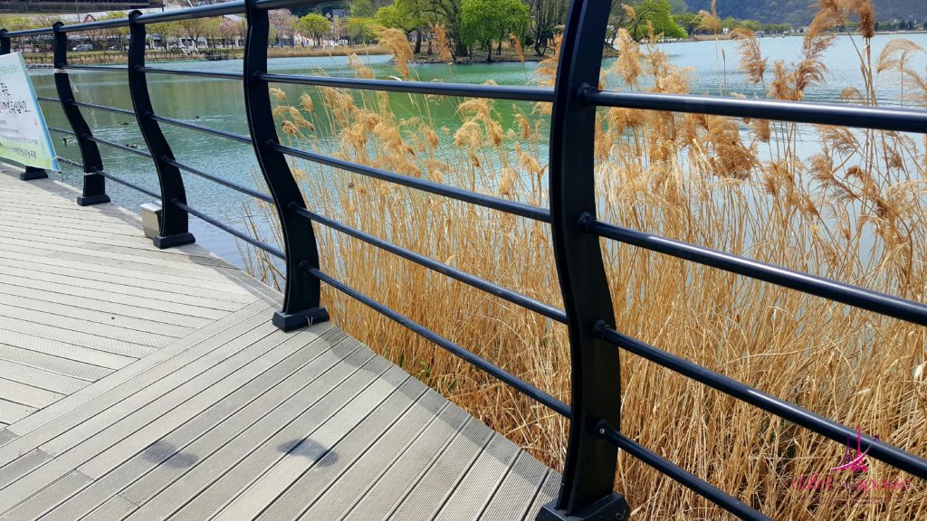 Suseong Lake wooden deck