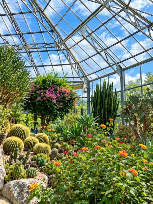Daegu Arboretum Glasshouse Succulent Garden
