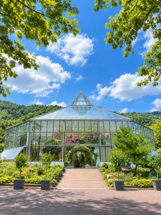 Daegu Arboretum glasshouse