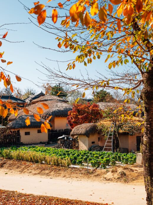 Hahoe Folk Village (1)
