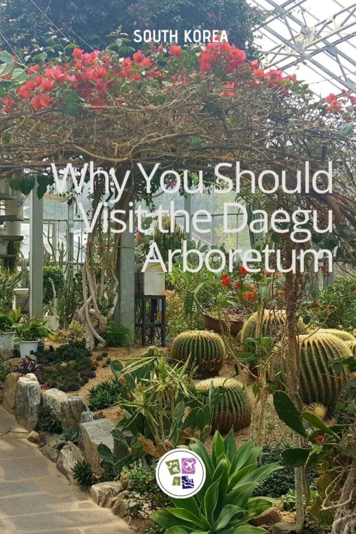 Why-You-Should-Visit-the-Daegu-Arboretum-519x778 Daegu Arboretum--An Eco-friendly Reclaimed Landfill
