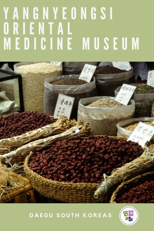 Yangnyeongsi Oriental Medicine Museum PIN