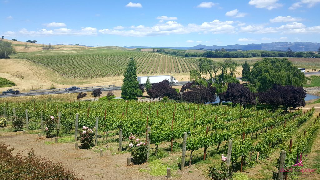 Free Wine for Military in Napa Valley - Domaine Carneros