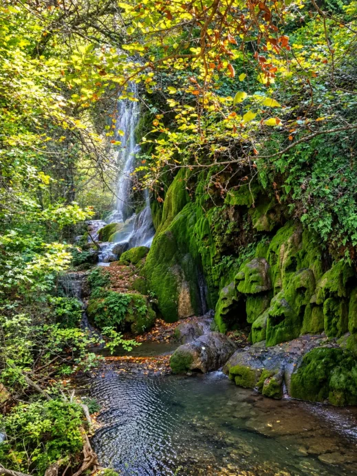 Gorman Falls, pool, Colorado Bend Park