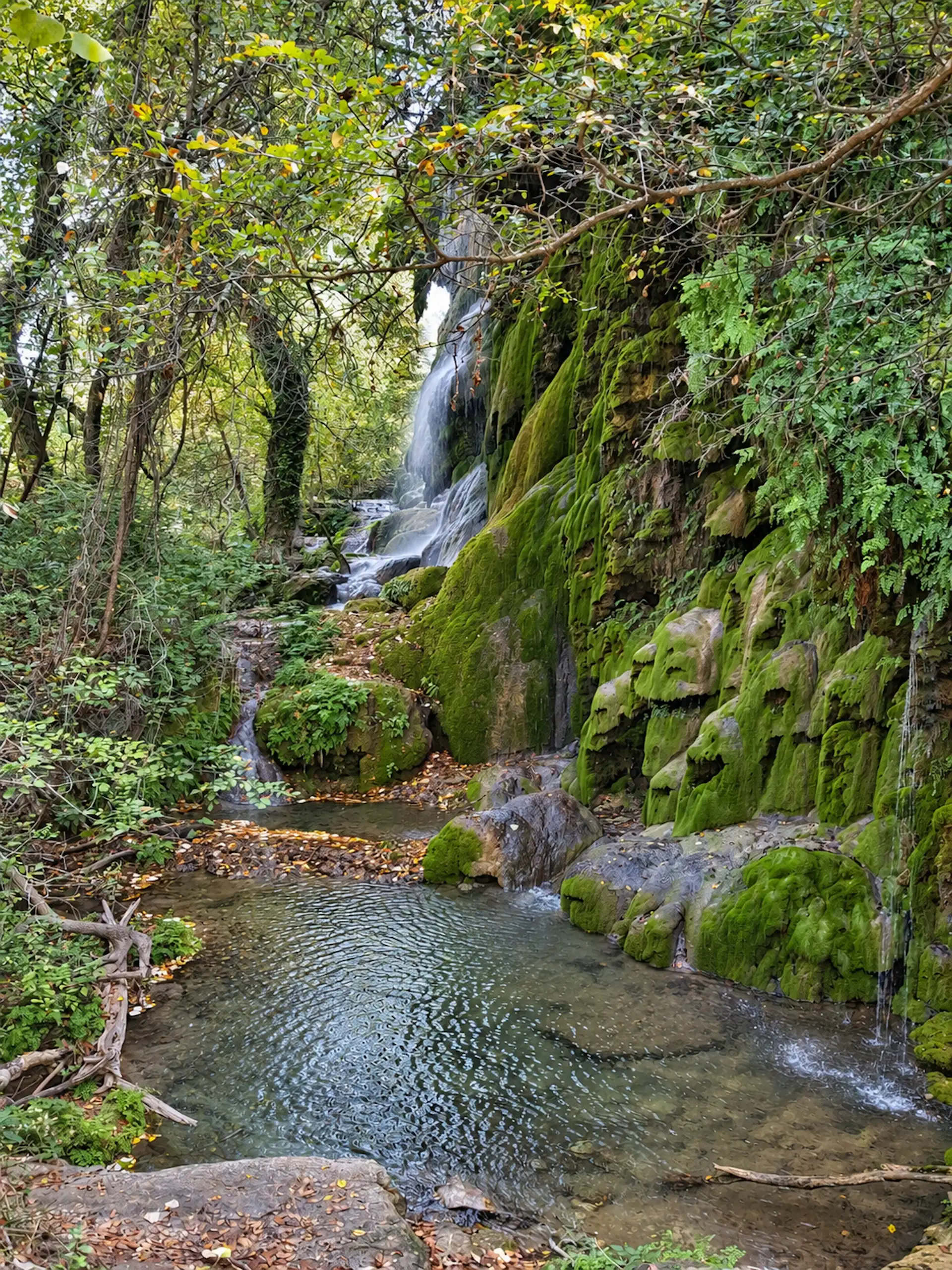 Hiking Gorman Falls in Texas