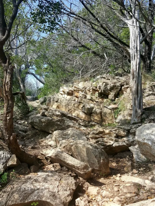 Hiking the Gorman Trail at Colorado Bend State Park