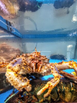 San Fransisco wharf- king crab