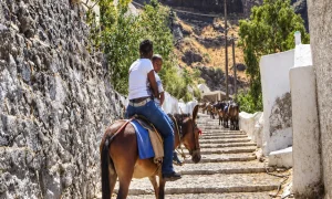 Ashley and Kamren, Donkey Ride Up Santorini Steps