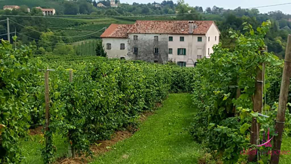 Villa-Prosecco-wine-route-1024x576 My Top 10 Amazing Italian Experiences