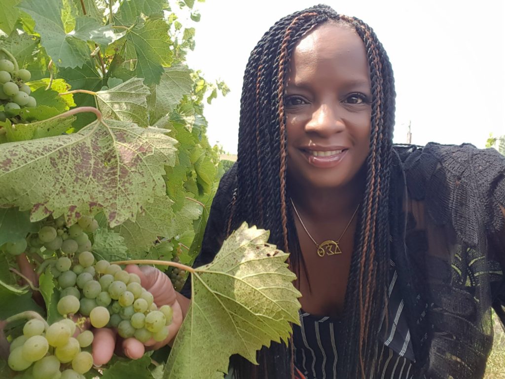 Linda African Braiding Fort Riley Community First Impressions-- fun attractions, services, events & other interesting things to do in Manhattan, Ogden, Junction City Kansas & more