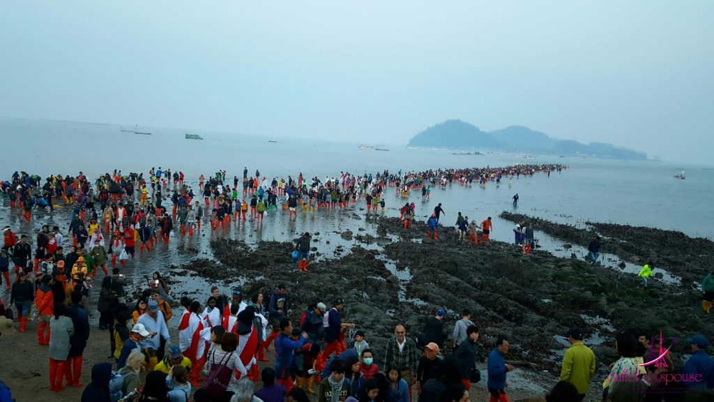2017-Jindo-Miracle-Sea-Road-Festival-Panarama-walk-on-water-1024x576 Must-See Festivals in South Korea