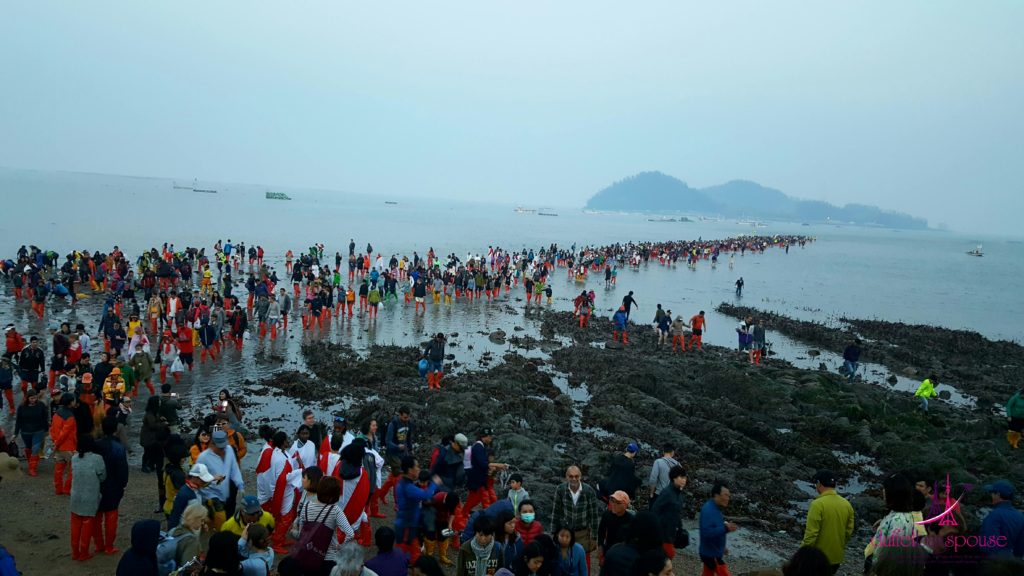Must See Festivals in South Korea Jindo Sea Miracle Festival