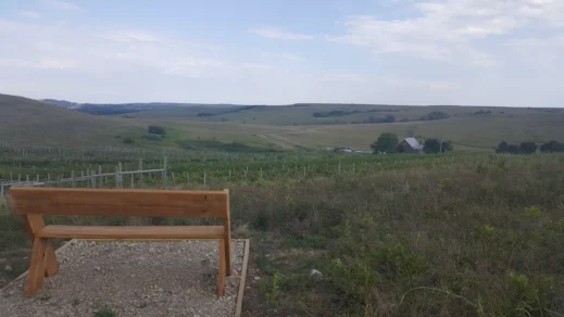 Prairie-Fire-Winery-bench-view