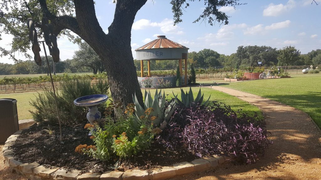 Beyond Napa-- 5 Other Wine Regions Texas Hill Country